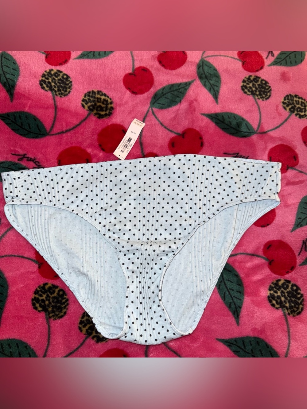 NWT Victoria’s Secret Blue Polka Dot Bikini Panty Size XL